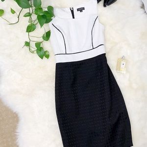 Tahari Black and White Professional Dress